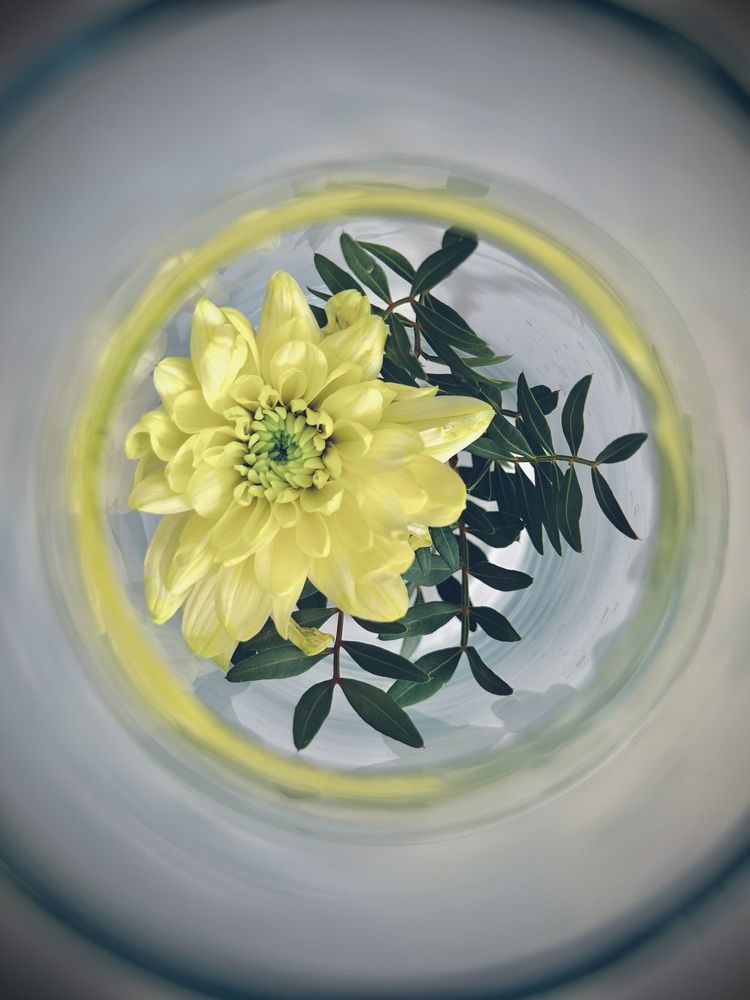 Photograph by Ольга Барулина