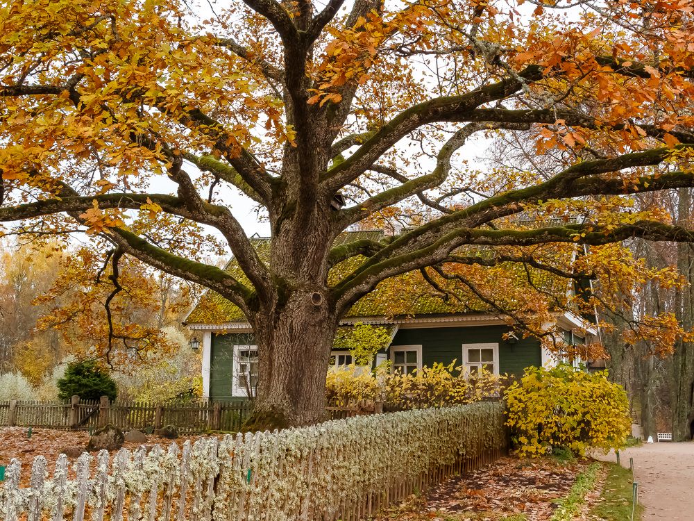 Photograph by Наталья Колеватова