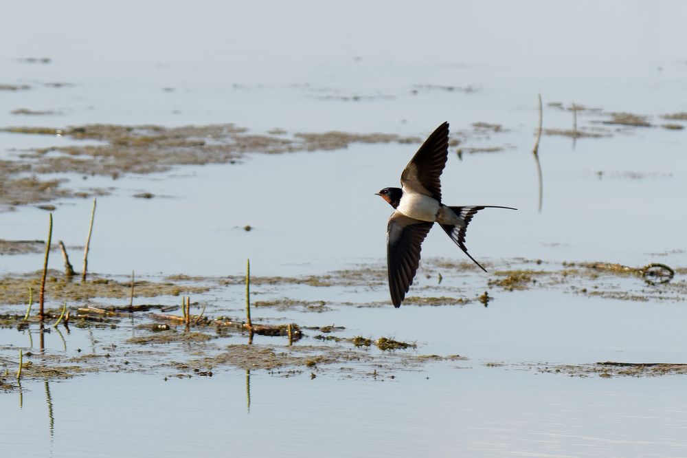 Photograph by Пётр Калачев