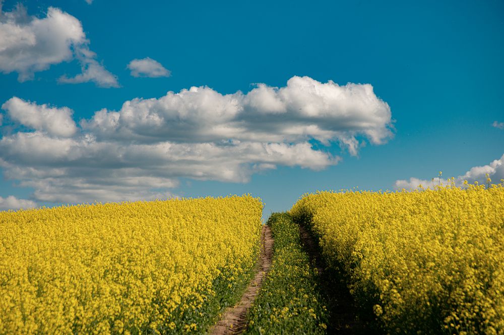 За горизонт