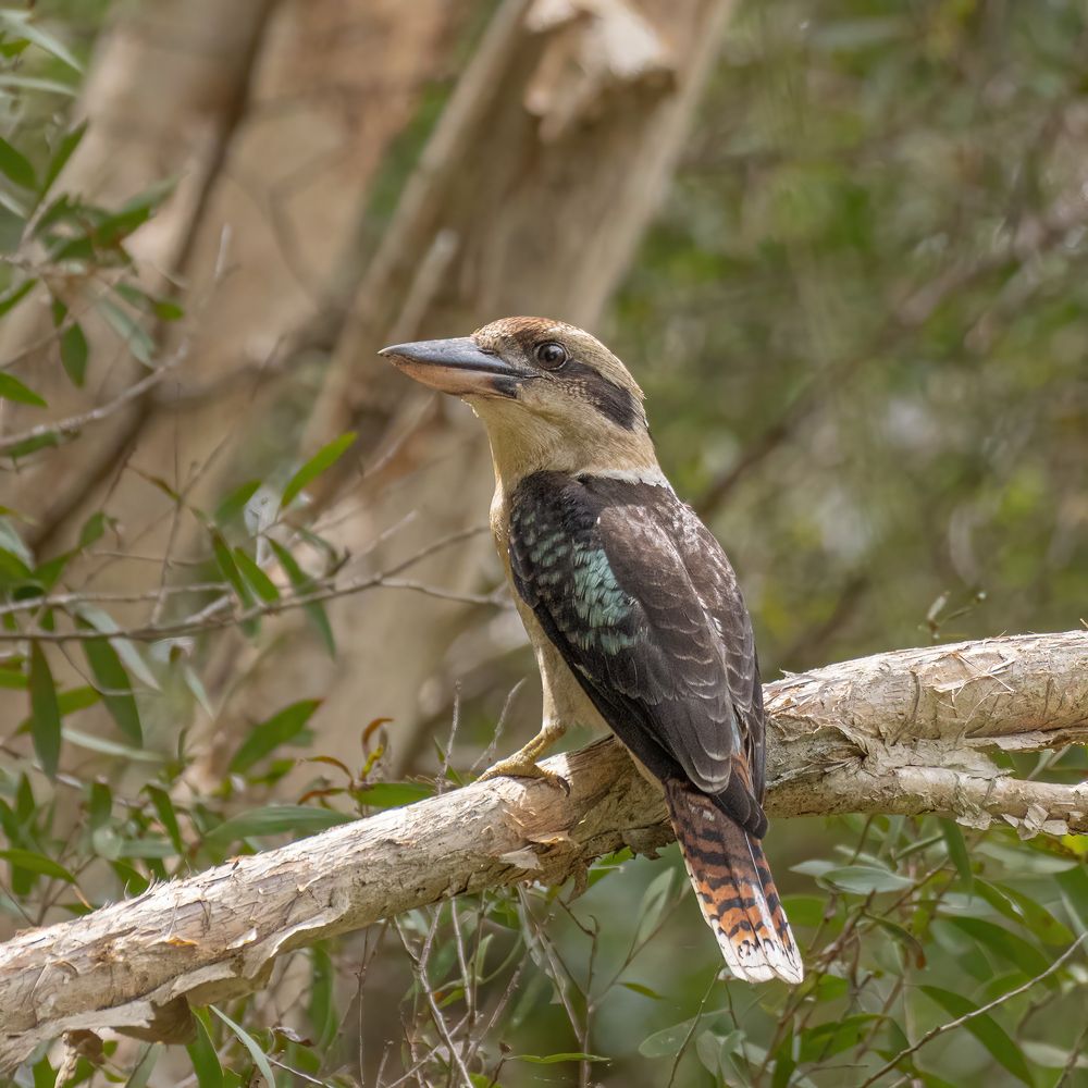 Photograph by Jacqui Stokes