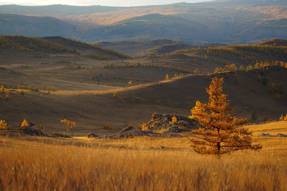 Photograph by Анастасия Скворцова