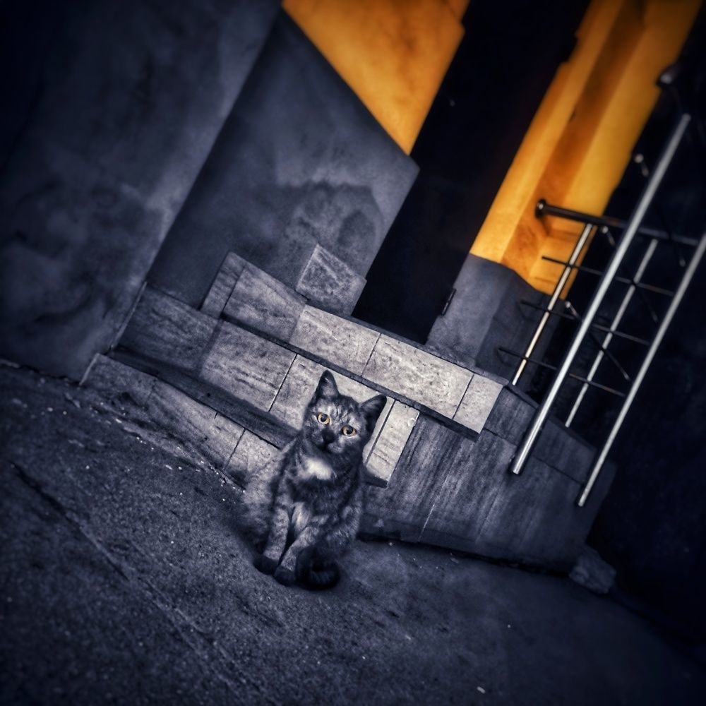 Photograph by Григ Маргарита