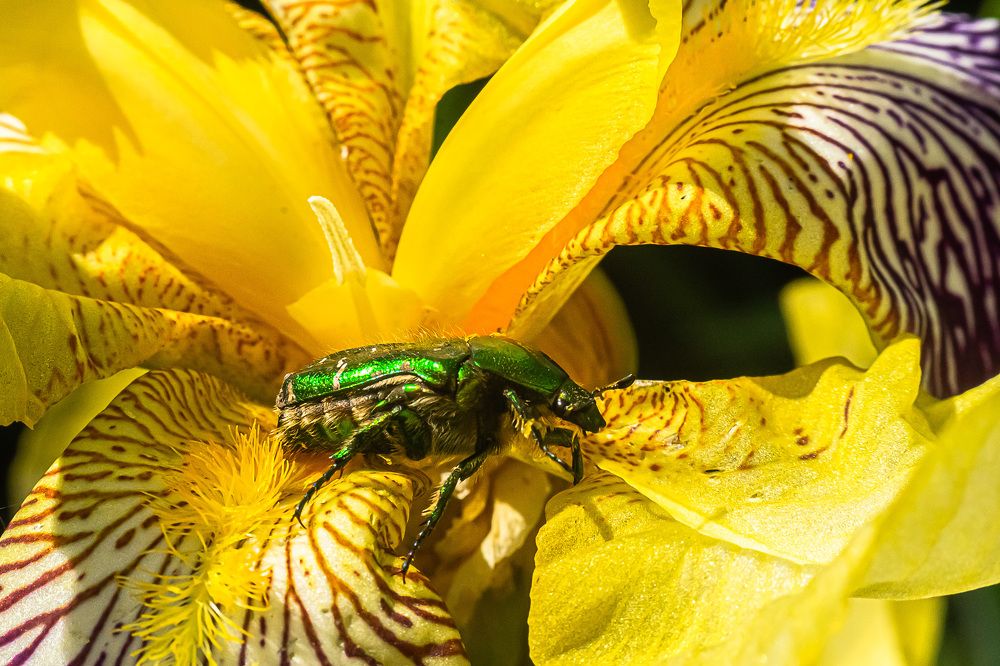 Фотография автора Николай Бологов