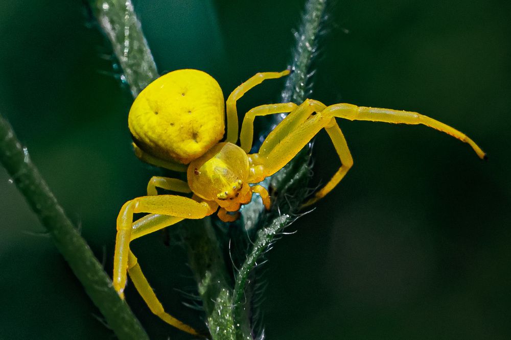 Фотография автора Николай Бологов