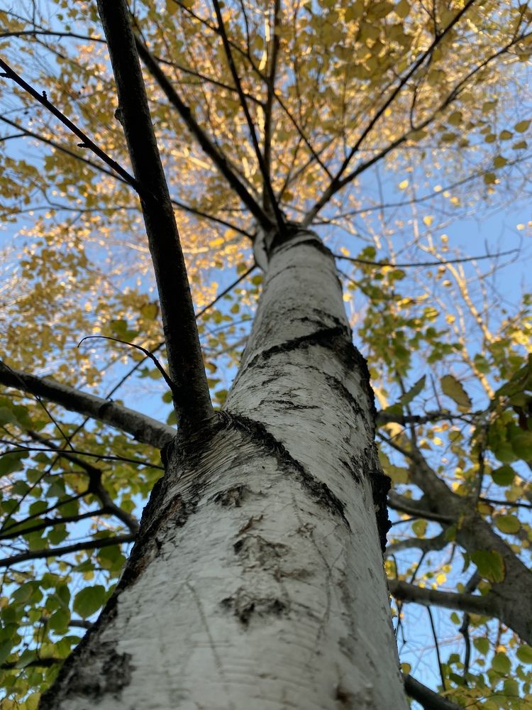 Photograph by Ангелина Марушко