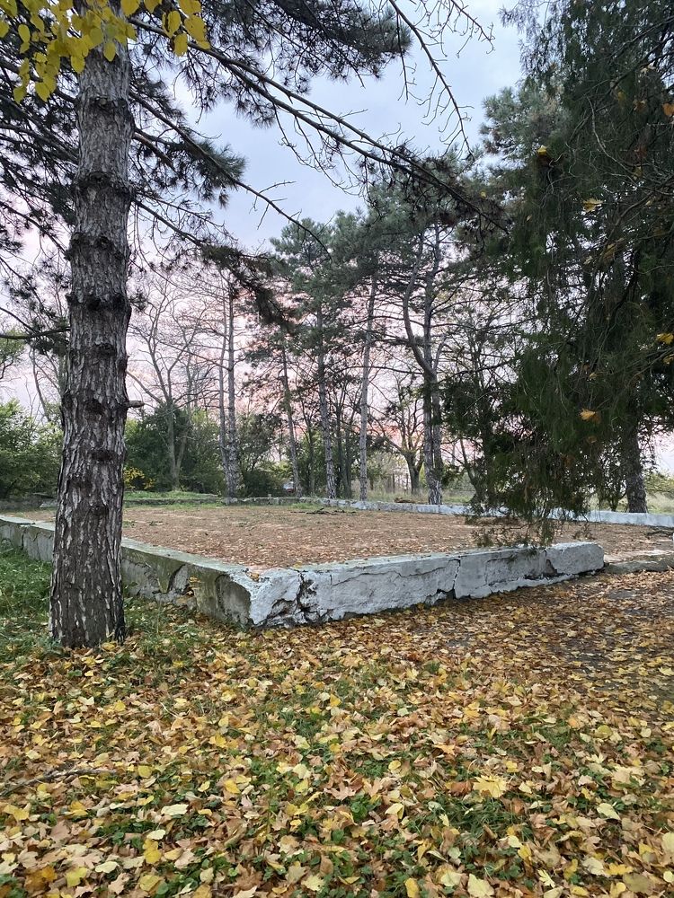 Photograph by Ангелина Марушко