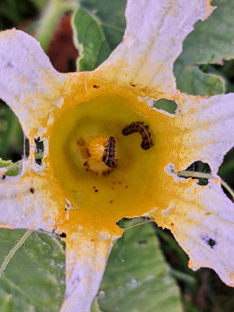 Photograph by Оксана Юдина