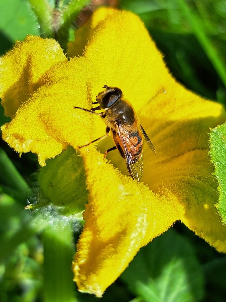 Photograph by Оксана Юдина