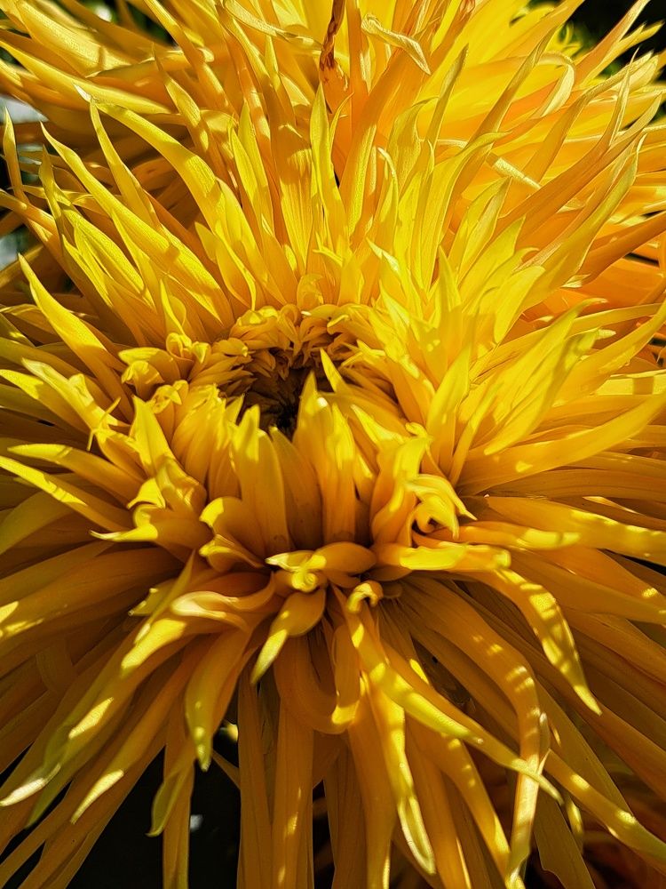 Photograph by Оксана Юдина