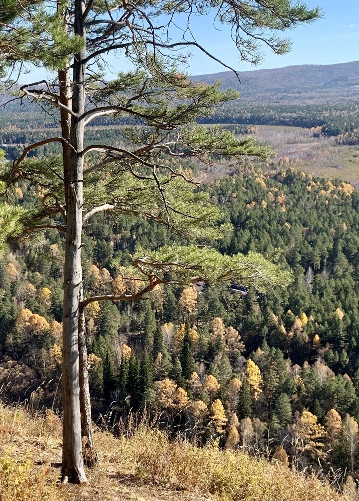 Photograph by Инна Шикуева