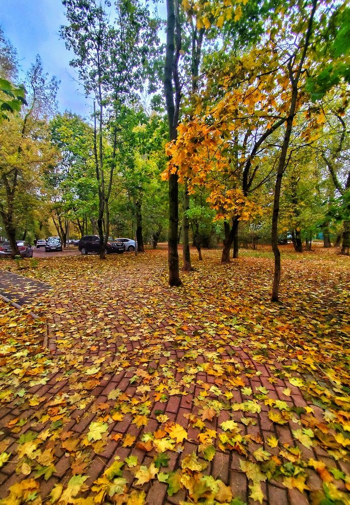 Photograph by Ирина Горбач