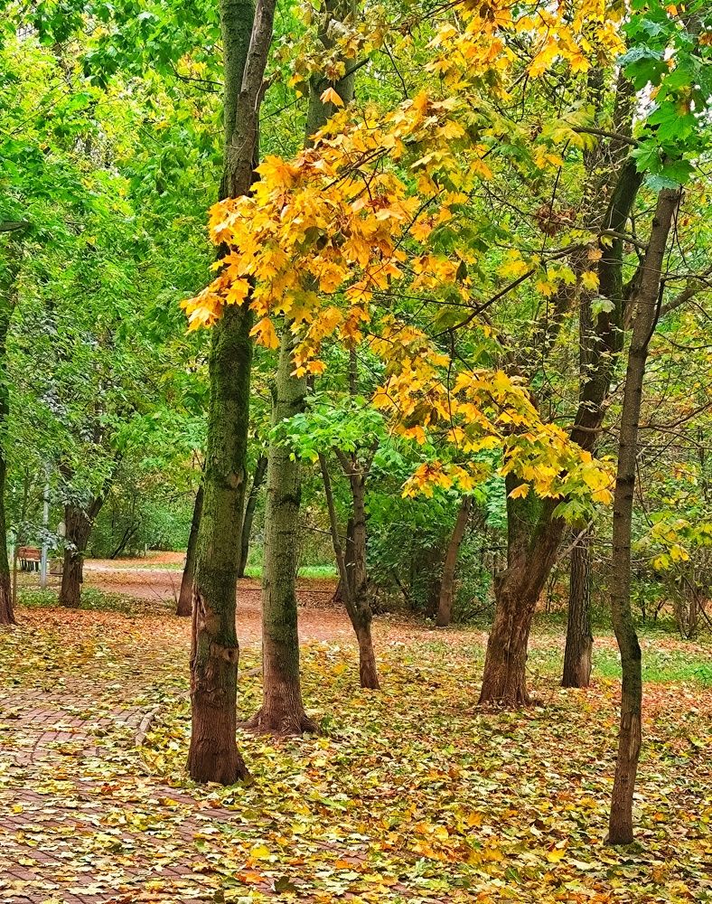 Photograph by Ирина Горбач