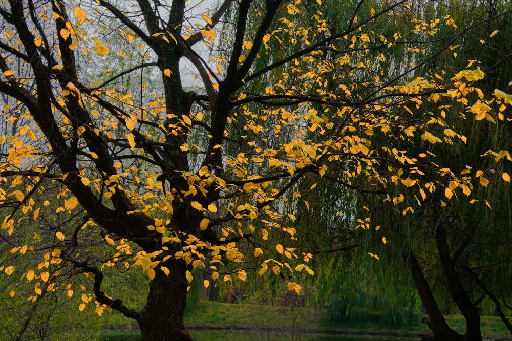 Осенние зарисовки