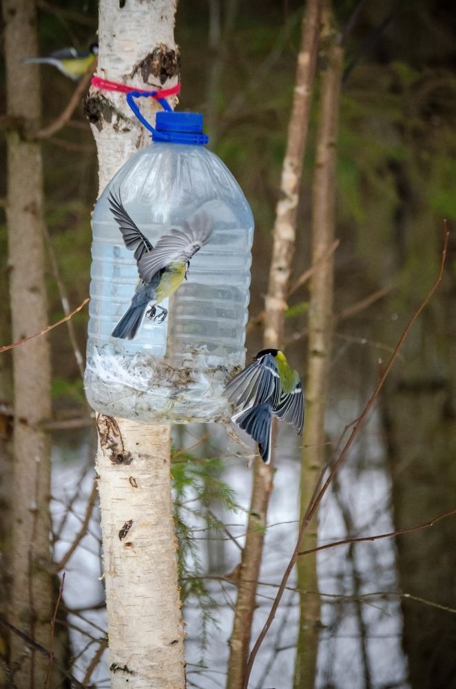 Photograph by Любовь Бусова