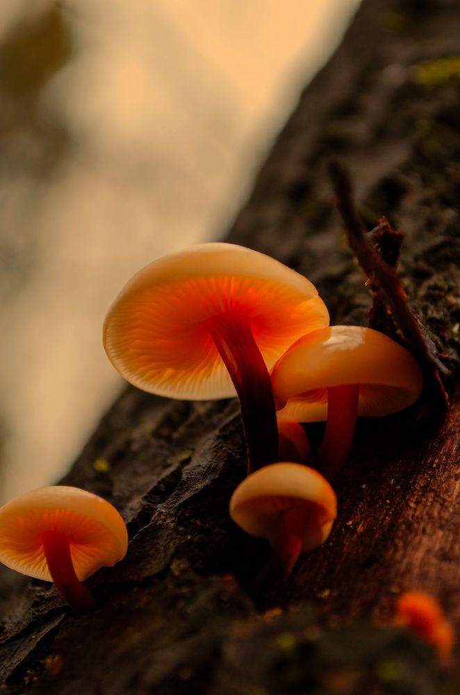 Photograph by Любовь Бусова