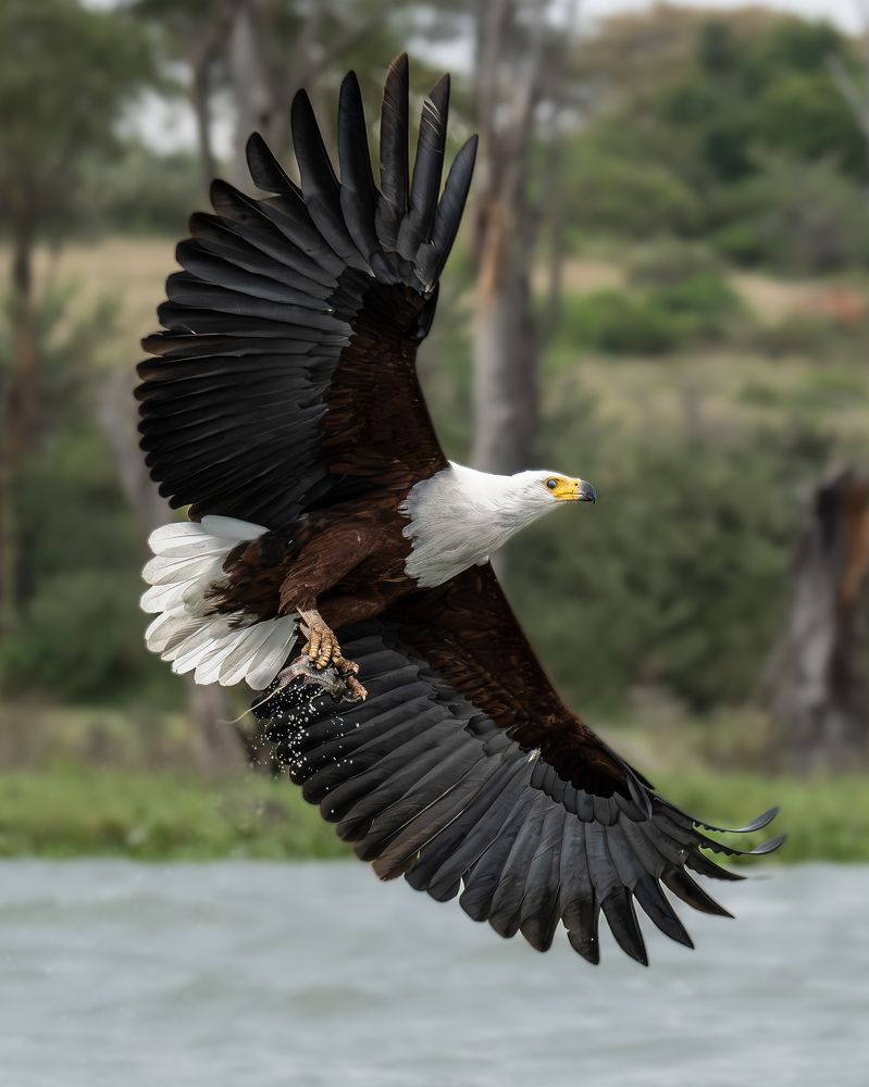 Photograph by Prasad Hamine