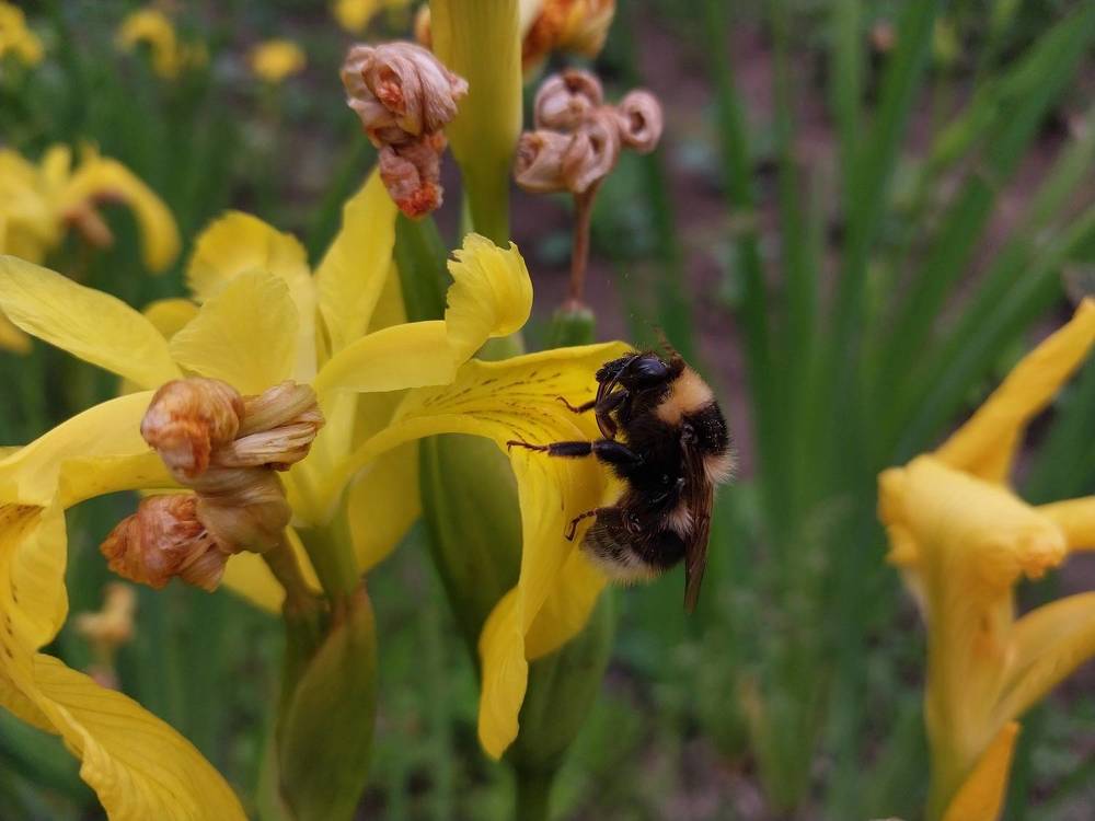 Photograph by Юлия Фирман