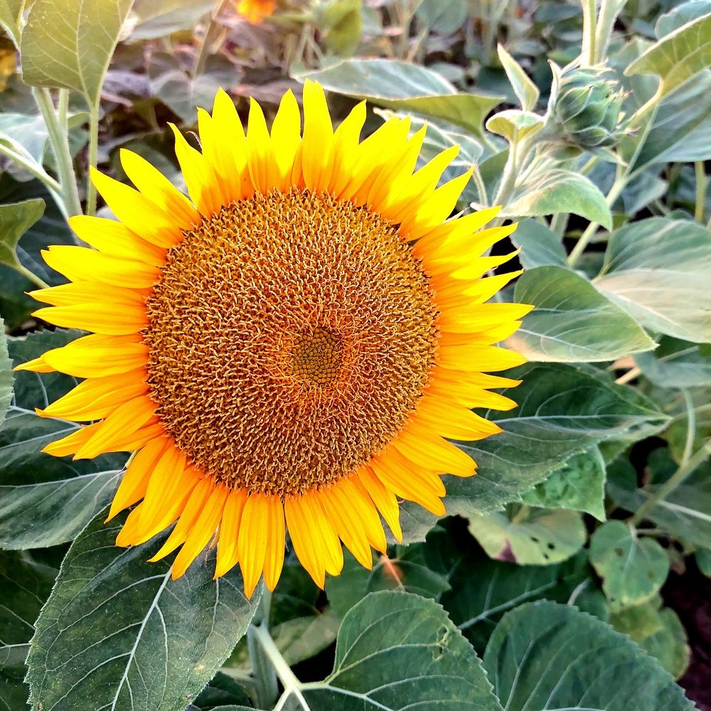 Photograph by Marharita