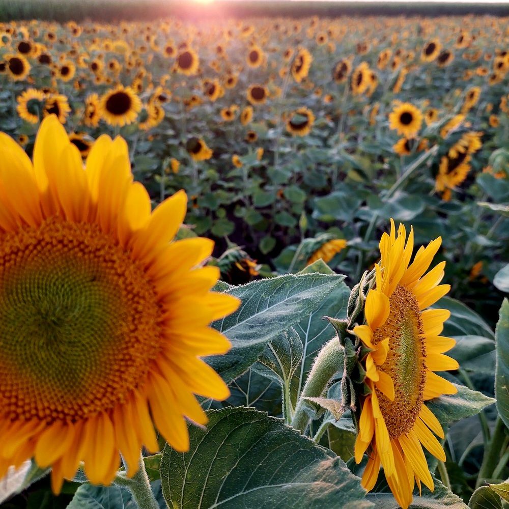 Photograph by Marharita