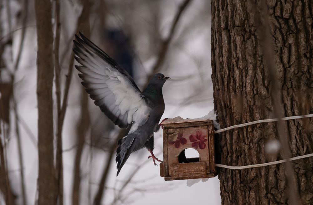 Photograph by Владислав Лопатов