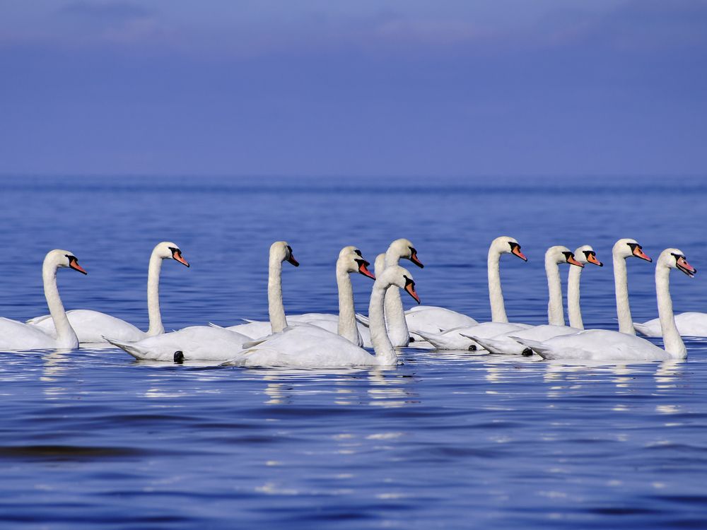 Фотография автора Vilnis Zoldners