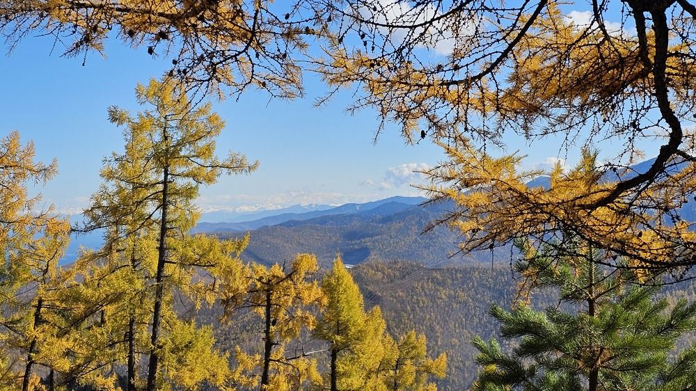 Photograph by Александр