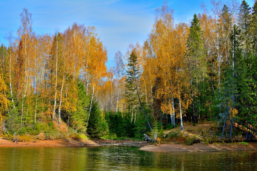 Photograph by Александр Зуев