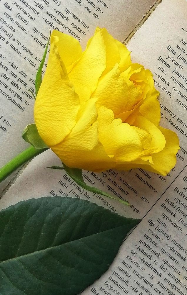 Фотография автора НАТАЛЬЯ СЕВЕР