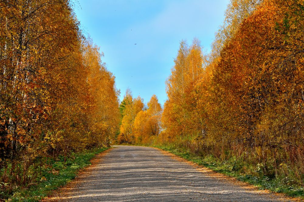 Photograph by Александр Зуев