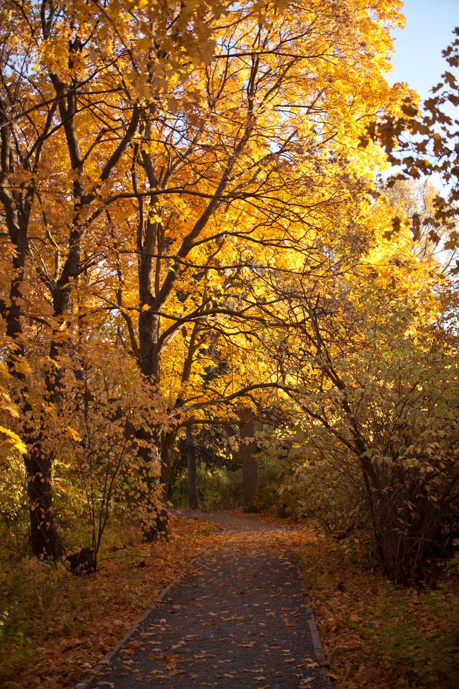Дорогое время года.