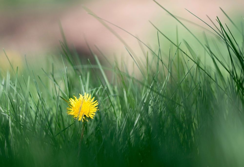 Фотография автора Дмитрий Кетов