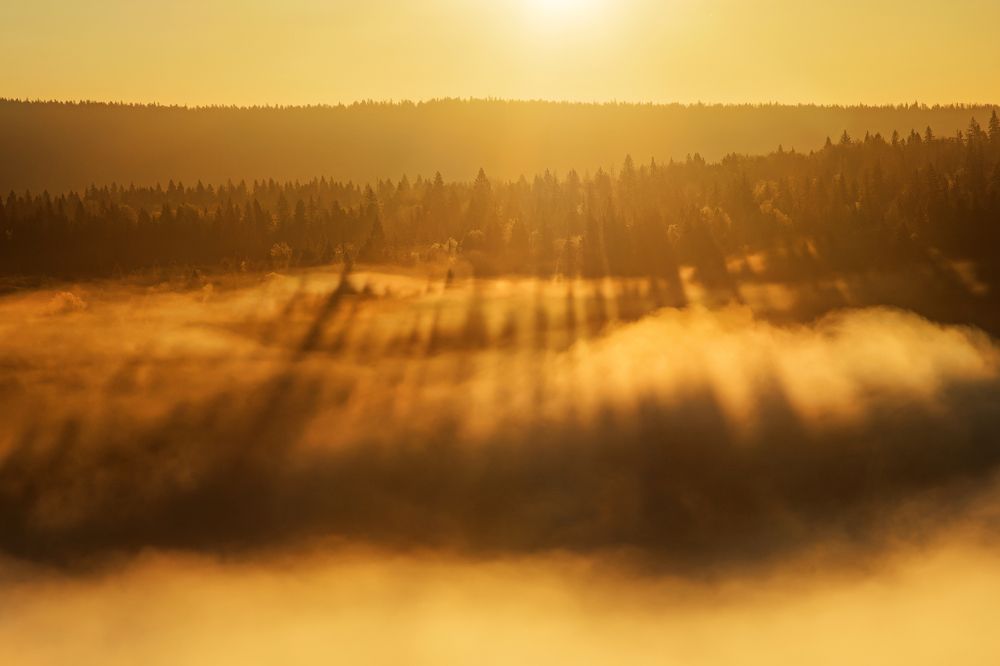 Photograph by Соколова Елена