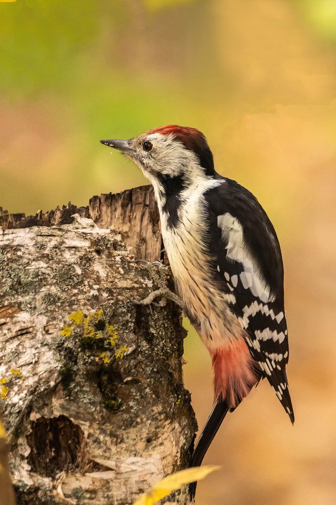 Photograph by Александр Щербаков