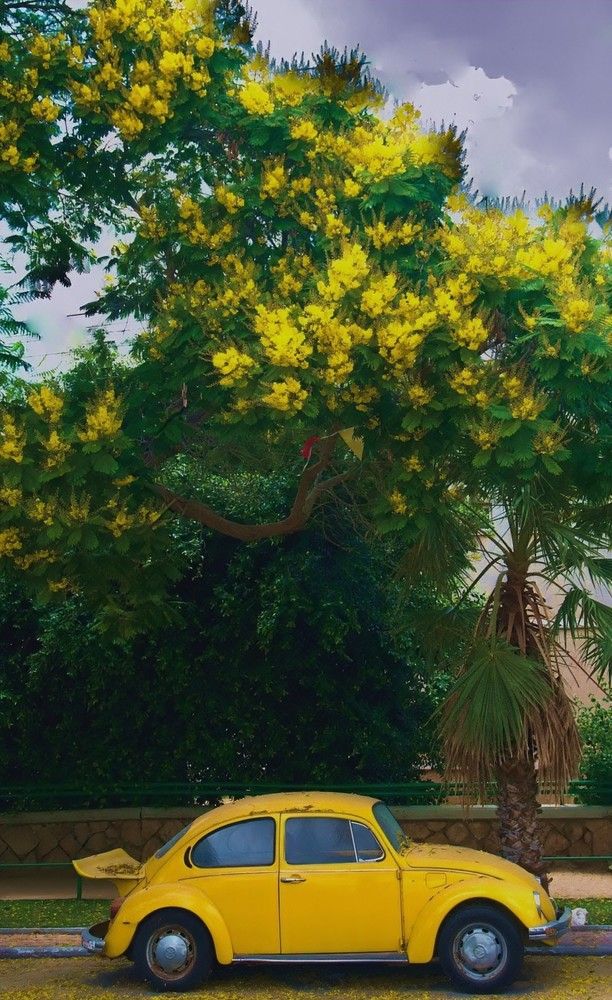 Photograph by Владислав Айзенберг