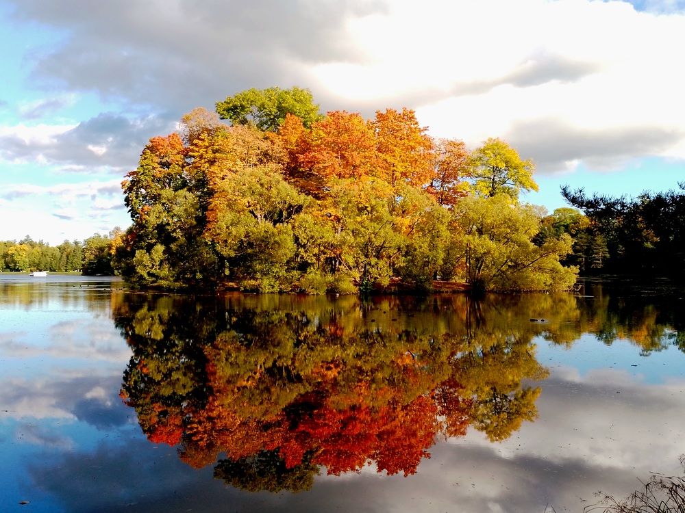 Фотография автора Наталья Бруёк