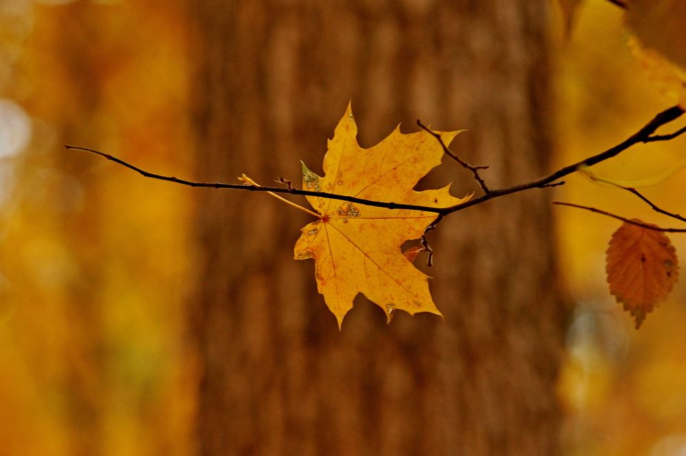 Photograph by Алексей Volg