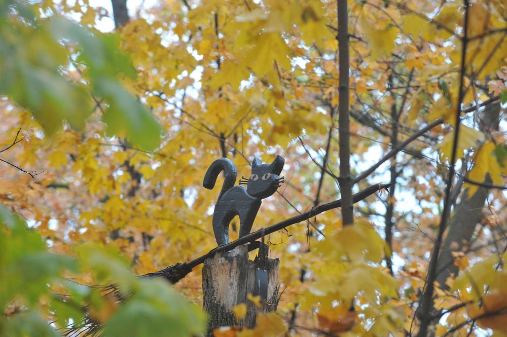 Photograph by Алексей Volg