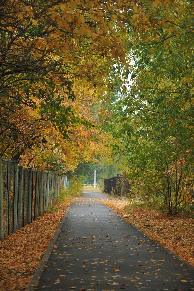 Photograph by Алексей Volg