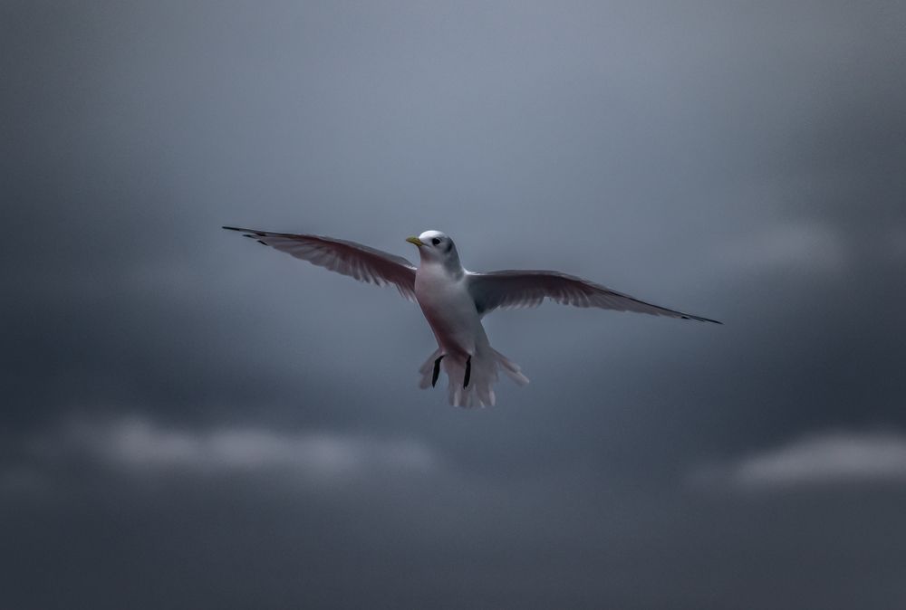 Photograph by Александр Фанталов