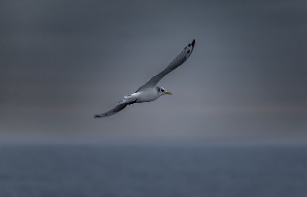 Photograph by Александр Фанталов