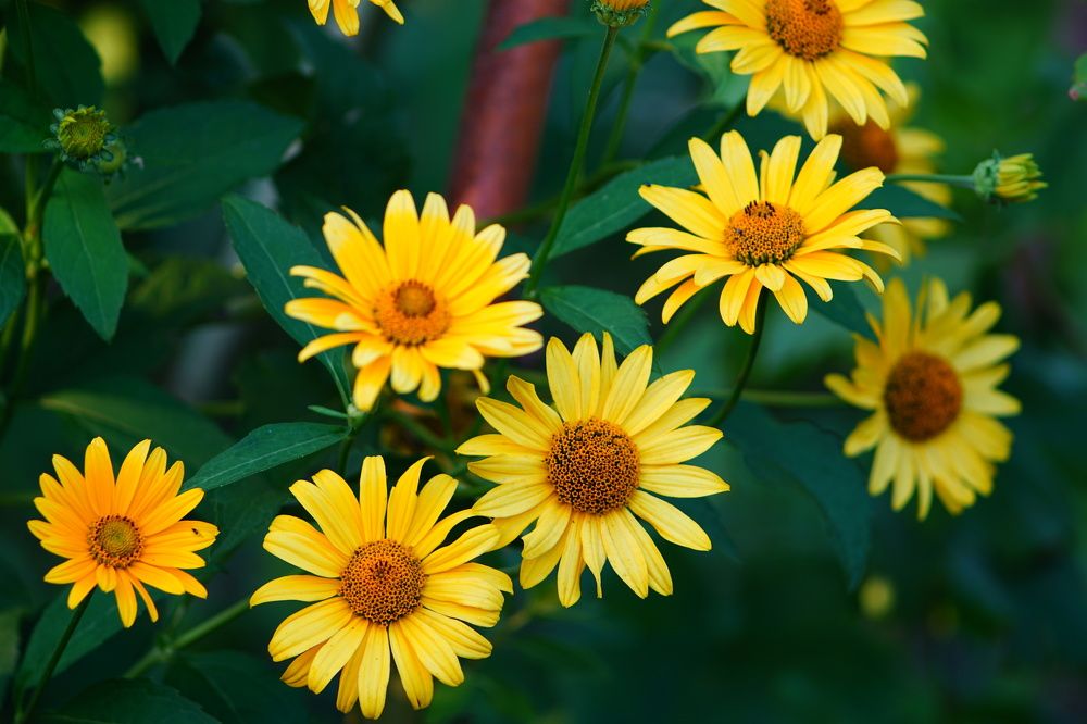 Photograph by Александр Кизим