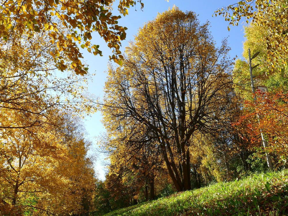 Photograph by Александр Кизим