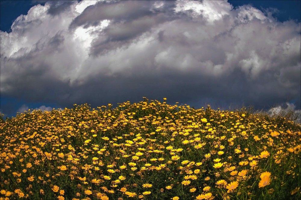 Photograph by Владислав Айзенберг