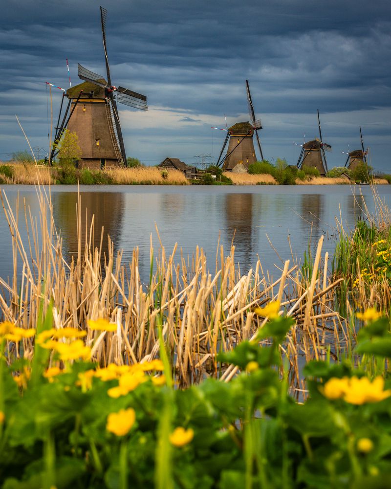 Фотография автора Katrin Lillenthal