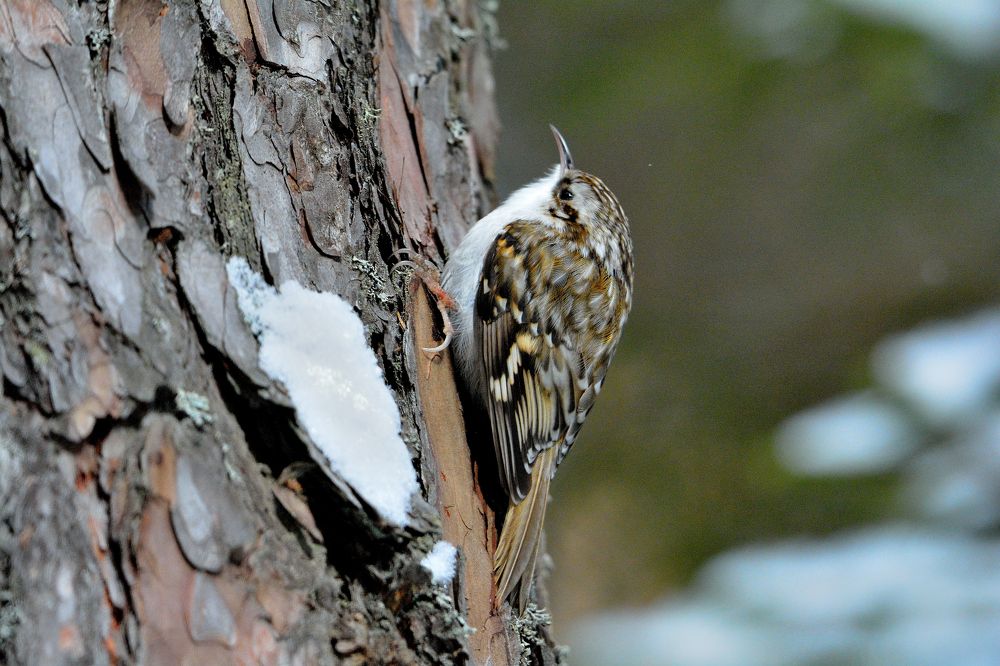 Photograph by Александр Зуев
