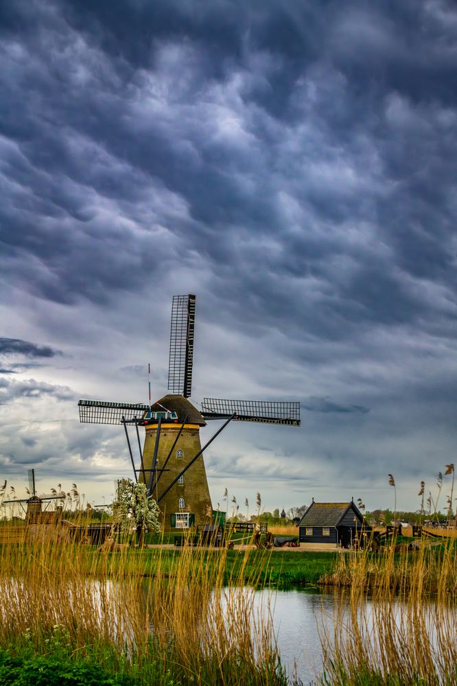 Фотография автора Katrin Lillenthal