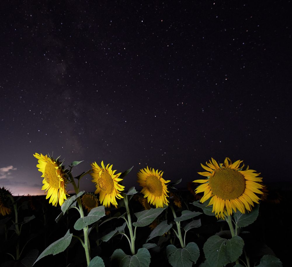 Photograph by Андрей Прищепин