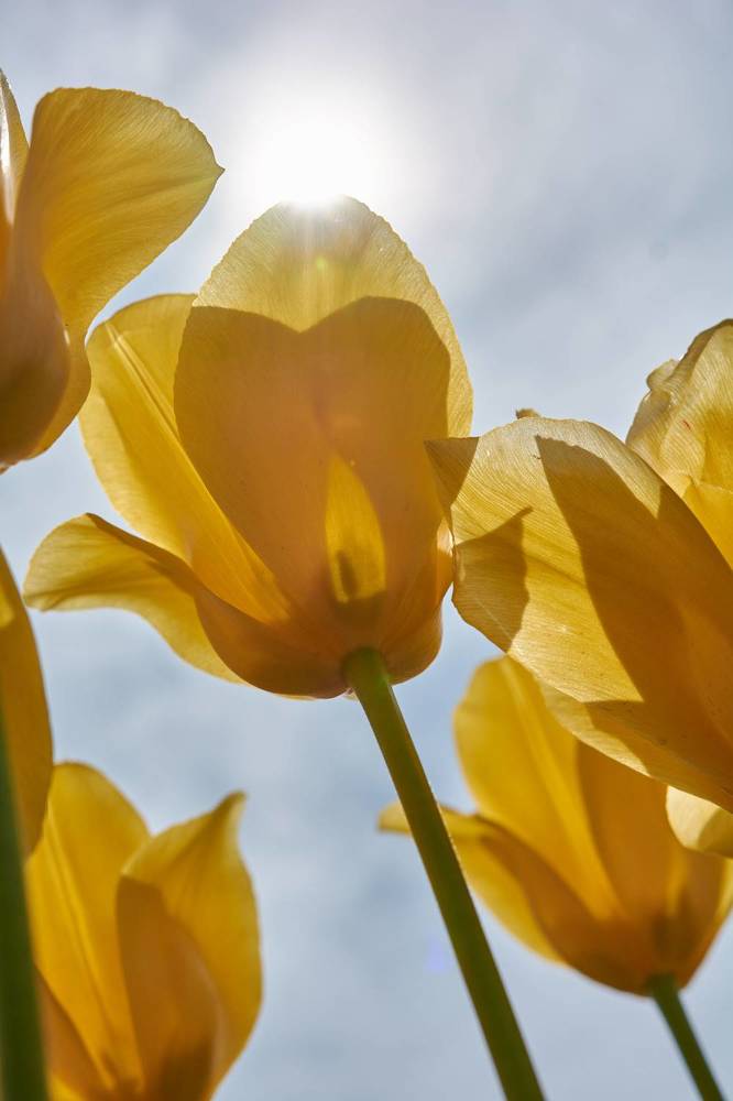 Photograph by Андрей Прищепин