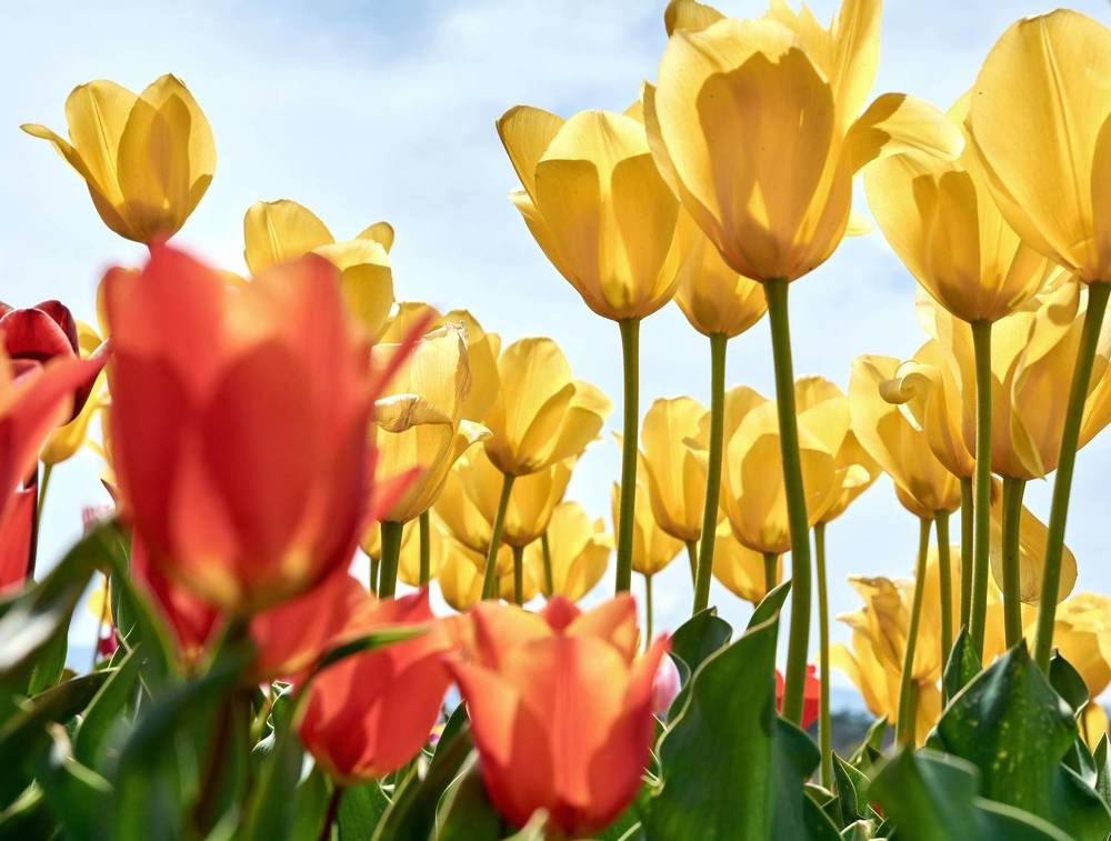 Photograph by Андрей Прищепин